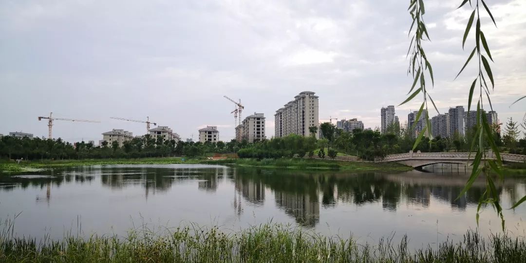 【圣庄园·东湖】7月家书| 恰逢美好在东湖_圣庄园·东湖_汝州论坛