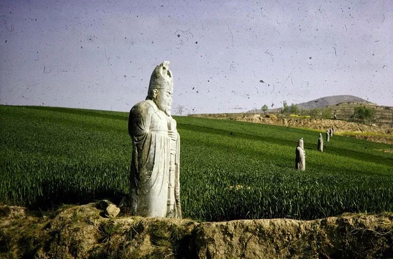 帝陵视野八十年代的唐陵