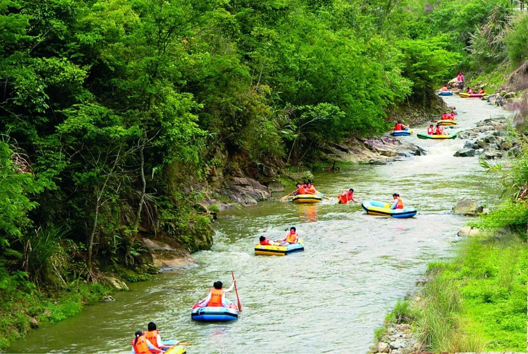 汇聚众能量打造新黄塘紫金这个镇的好做法被市媒报道