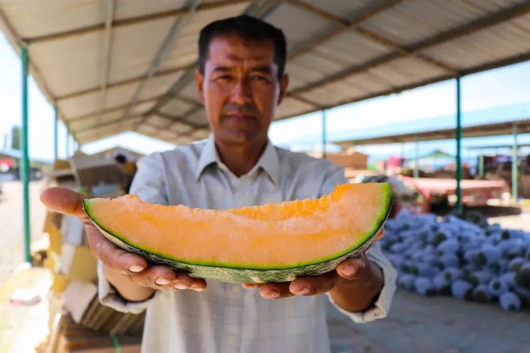新疆伽师瓜运到禅城啦瓜果飘香的背后是动人的援疆故事