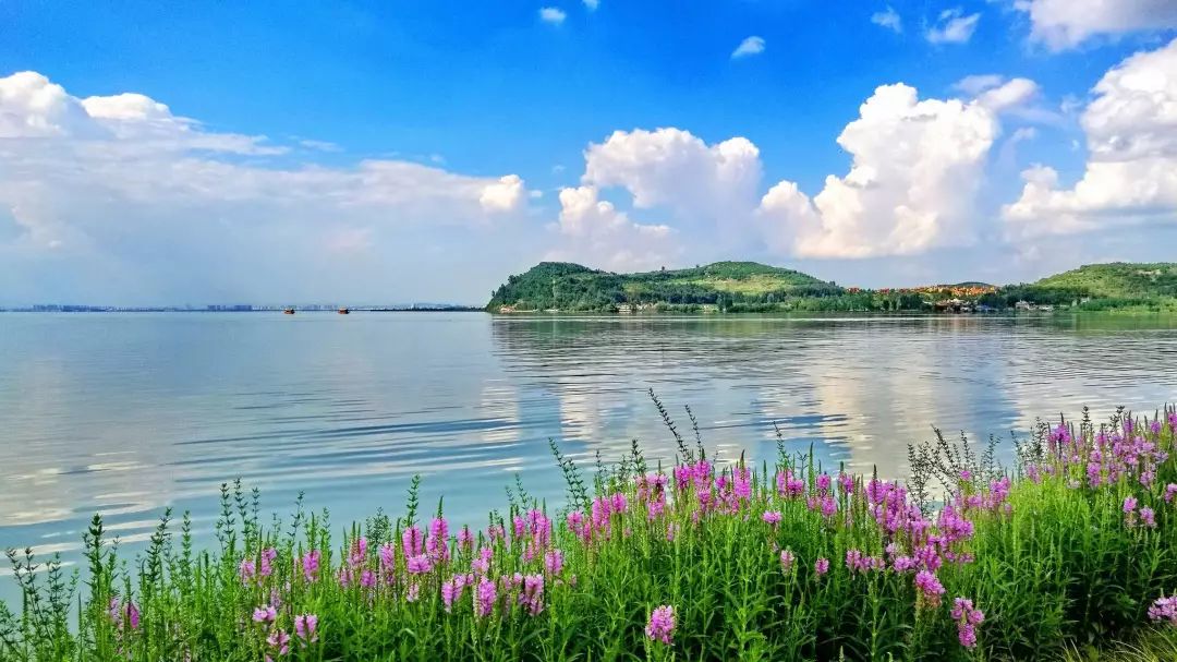 春城秀春城夏日时光如沐清风微凉