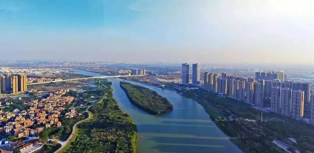 赏绿道水清岸绿白鹭齐飞东平水道碧道纳入粤港澳大湾区碧道试点