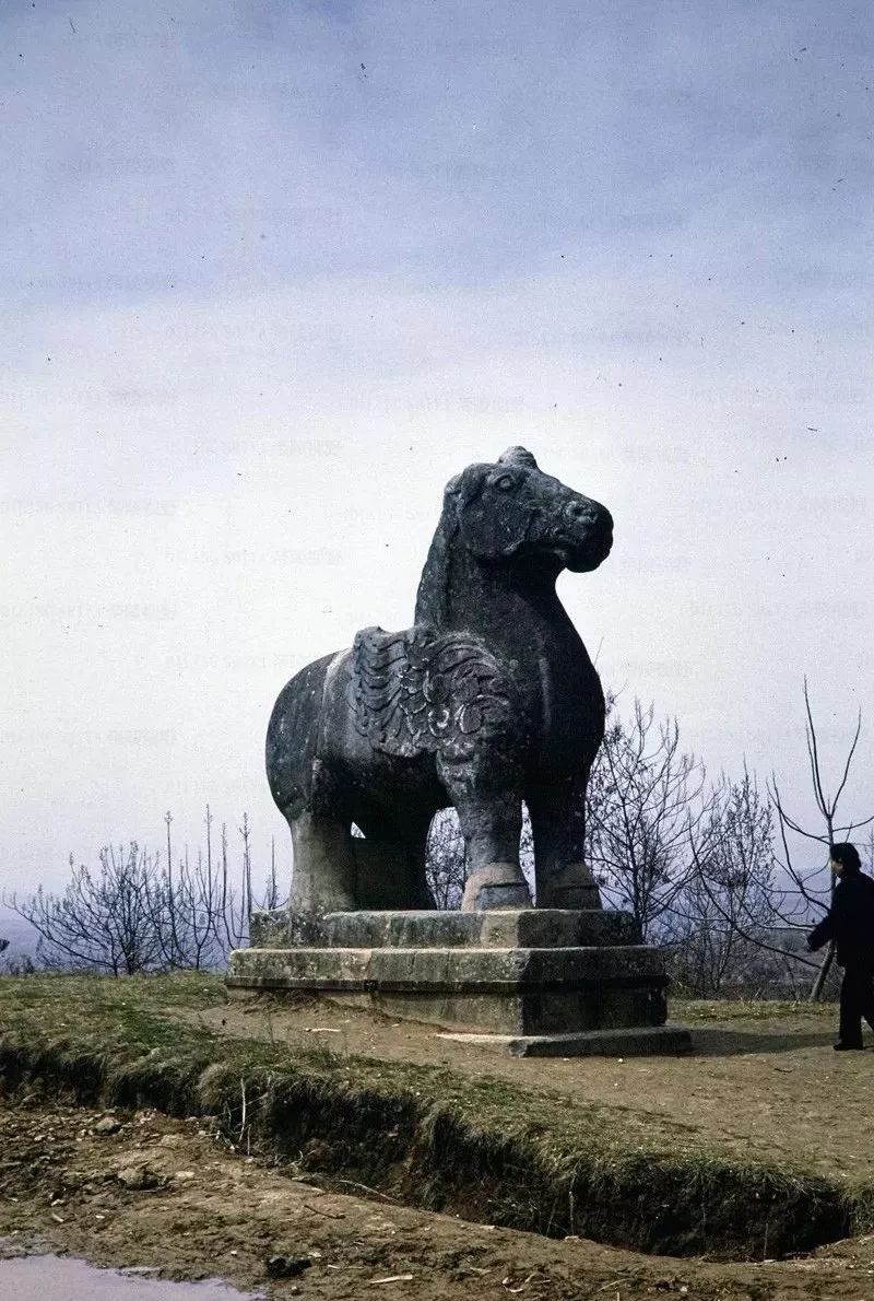 帝陵视野八十年代的唐陵
