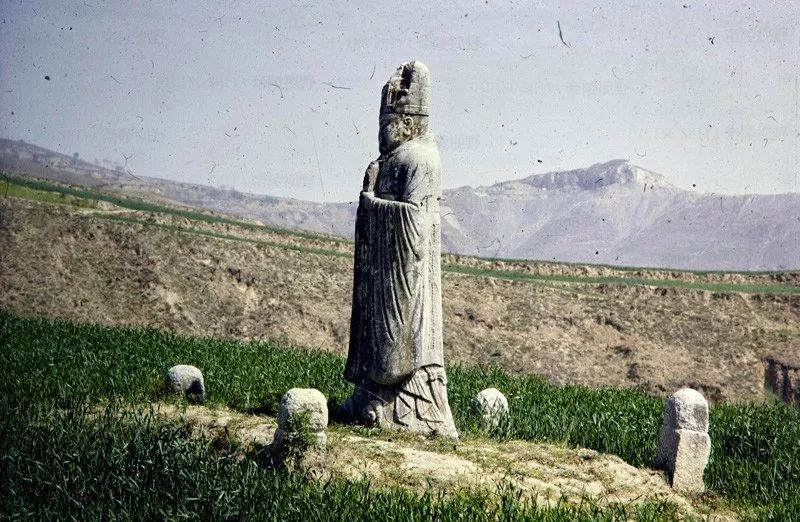 帝陵视野八十年代的唐陵