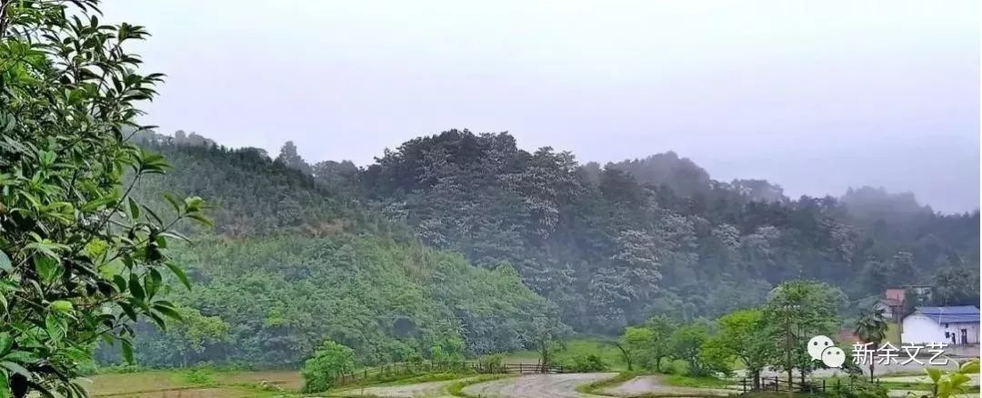 原创文学张爱华散文雨中钤山