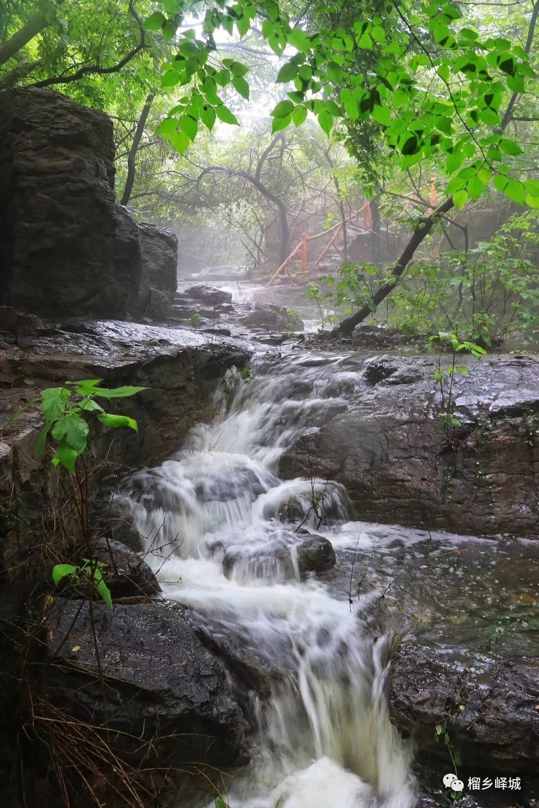 山间泉水叮咚图片