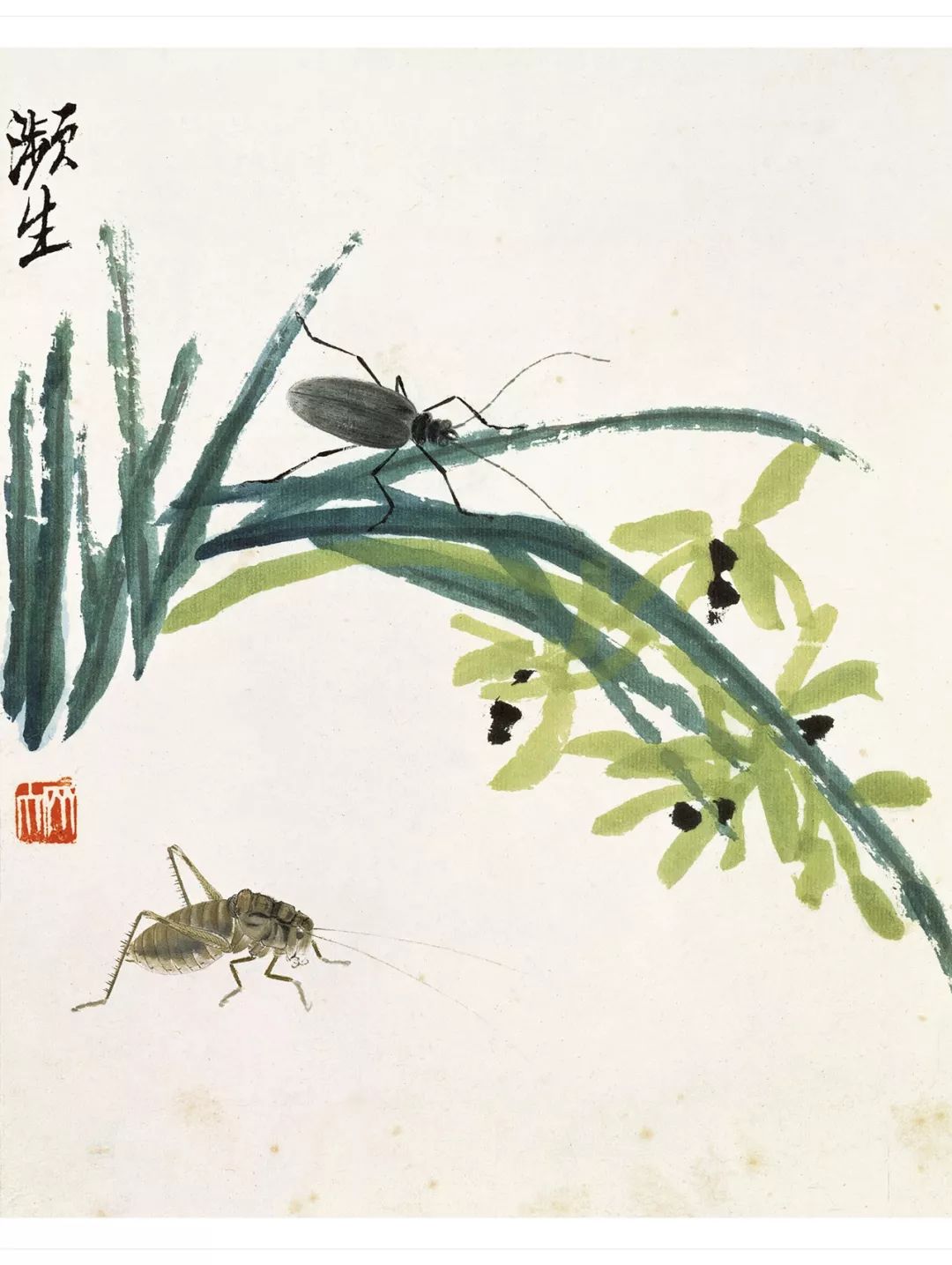 齐白石花鸟虫草小品12幅逸趣横生