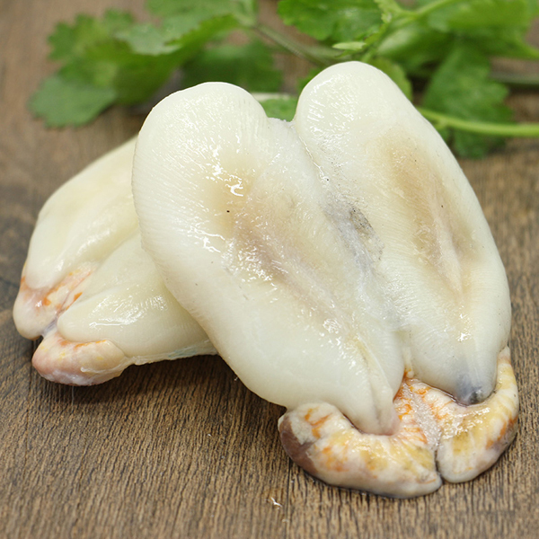 食材分享它是墨鱼身上的宝誉为海八珍可惜吃过的人不多