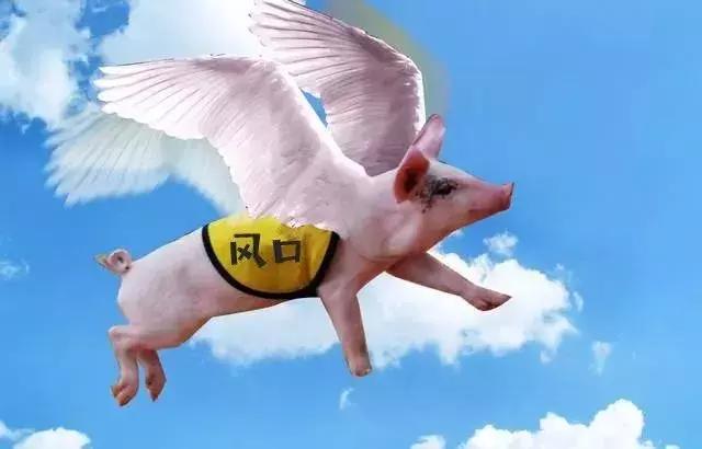 从2013年开始,小米创始人雷军就经常把"飞猪理论"(风口上的猪)挂在