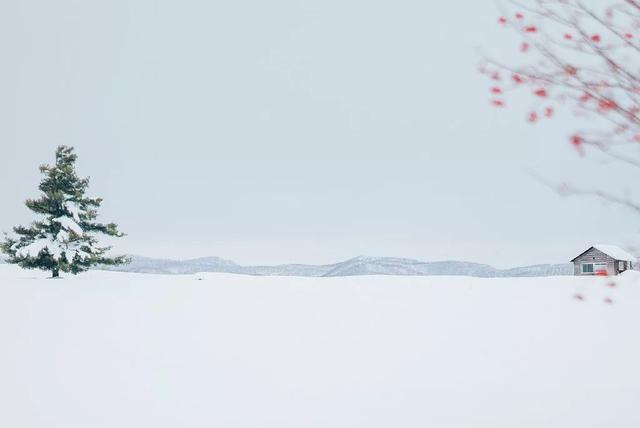 在摄影创作中巧用留白创作瞬间提升摄影作品内涵