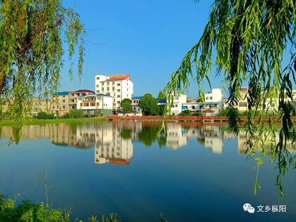 也孕育了汤沟人善于经营的头脑,建国后,它还一度成为枞阳的文化中心之