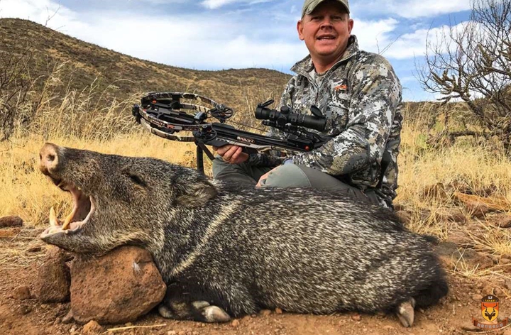 美国德州全野生巴巴里蛮羊狩猎(附加很多其他猎物)