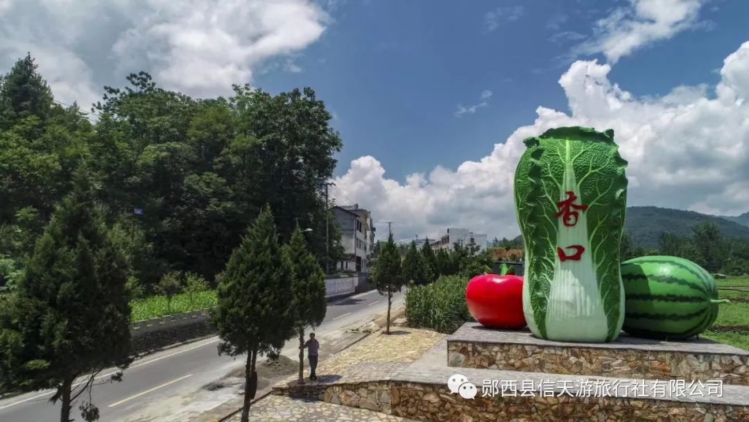 8月4号星期天香口乡2019年蔬菜瓜果采摘旅游节欢乐来袭!