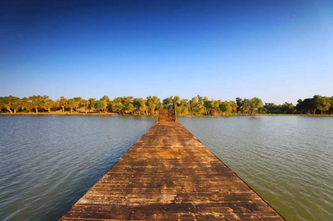 额济纳明珠:黑城弱水胡杨风景区8月1日实景拍摄!
