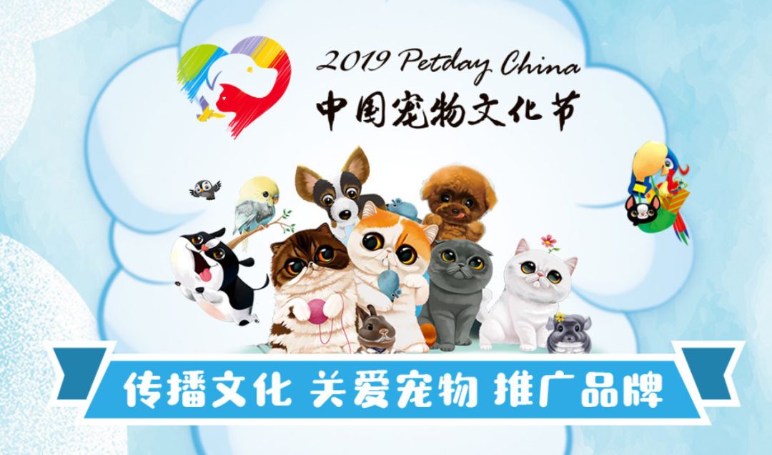 2019中国大连宠物文化节圆满闭幕