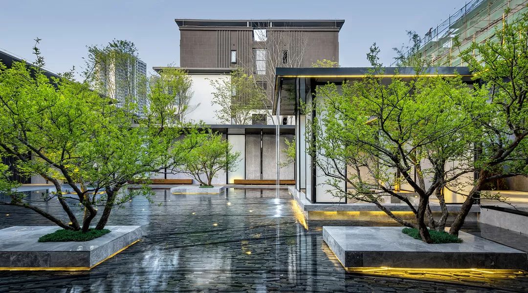 隐林长廊下阳光的温度 | 橙珲·随园