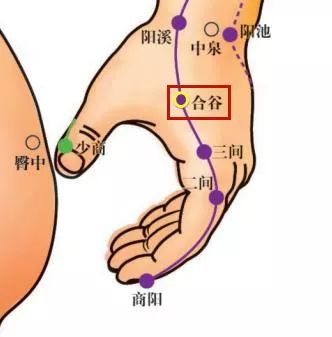 本输:大肠上合手阳明,出于商阳…过于合谷,合谷,在大指岐骨之间