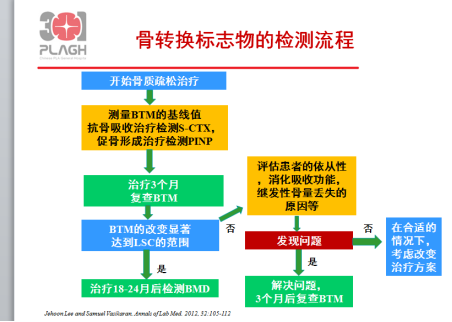 骨形成标志物图片