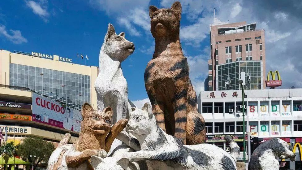 这里是世界上唯一一座用猫咪命名的城市