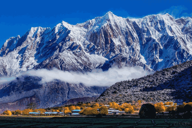 640_427gif 动态图 动图