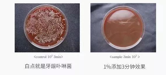 有相关机构做过实验,在唾液中添加乳香,10分钟后进行对比,可以很直观