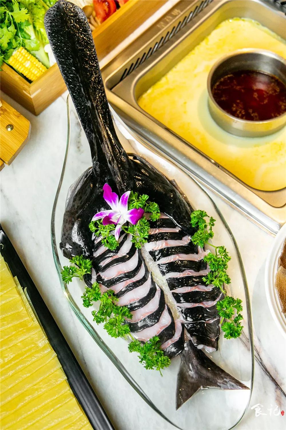 鸭嘴鱼几乎在别处见不到,这可是3亿年前就有了的物种,和恐龙一个时代