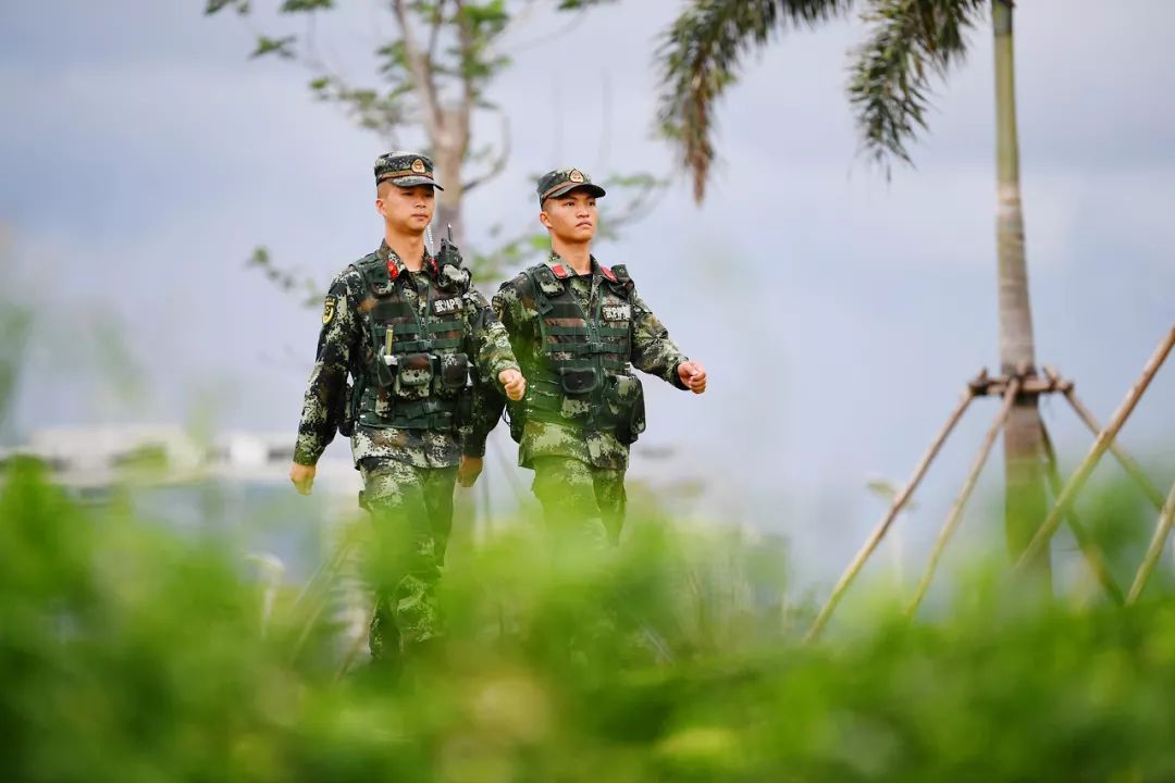 驻香港部队官宣视频太帅了一起刷屏的还有南山这群最美海岸线卫士
