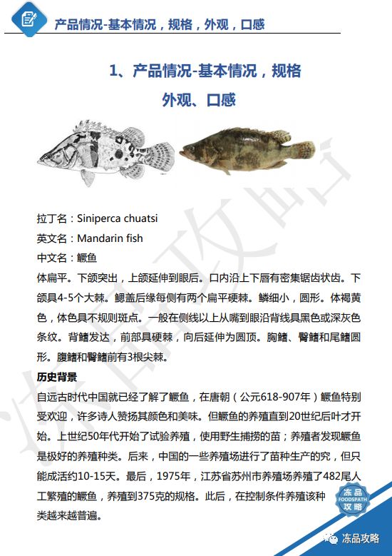 桂鱼种类图谱图片
