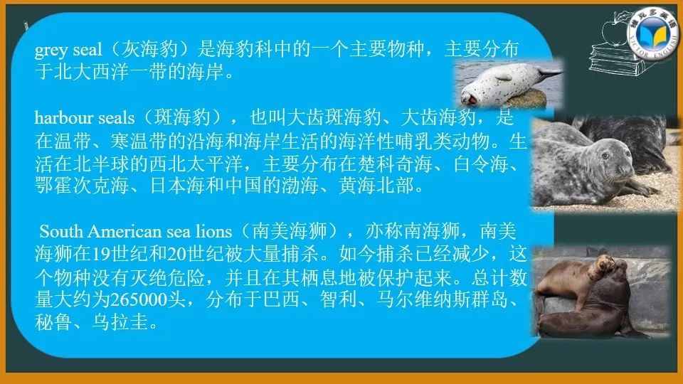 暑期外刊阅读海豹居然有记忆附课件和练习