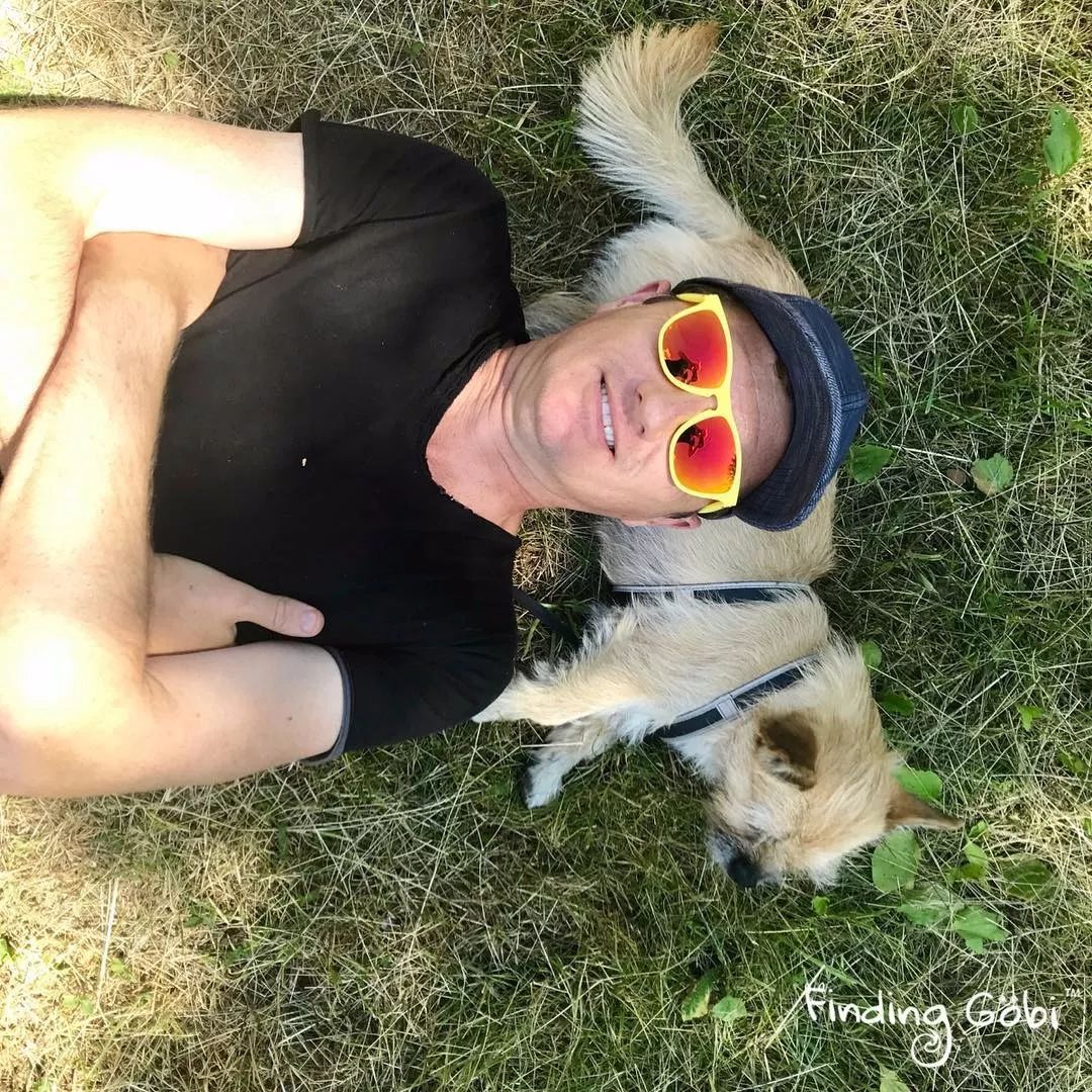 这只中国流浪狗火遍全世界小狗gobi的逆袭故事