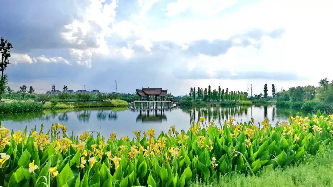 春城秀春城夏日时光如沐清风微凉