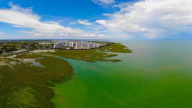 雨过天晴的北海金海湾红树林诗情画意.