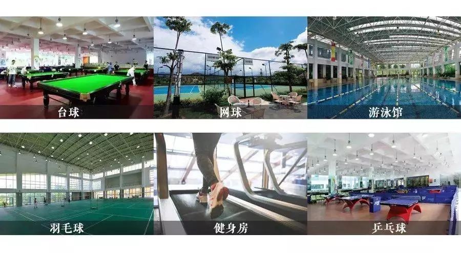 惠安聚龙小镇￥6662大2小下榻有着万亩森海的新中式美宿坐拥千亩湖泊