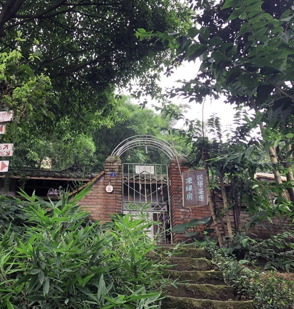 躲进南山冻绿房做一整天白日梦