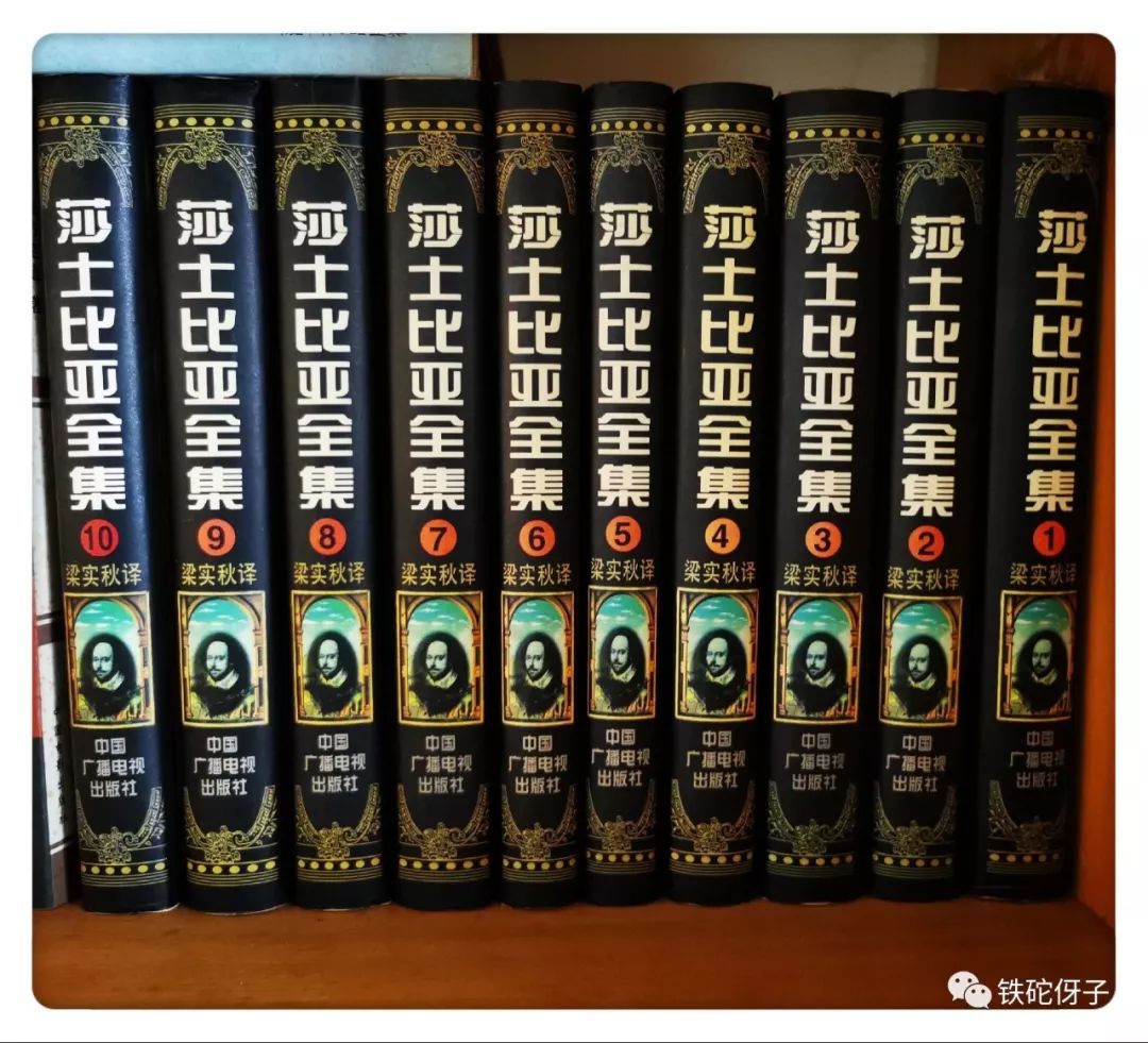 《己亥杂诗》(二o三首至二三o首:文学与读书)_莎翁托