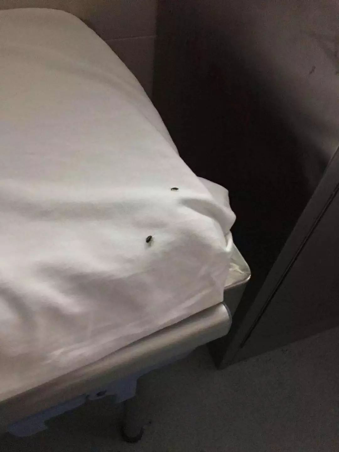 病床上有许多虫子爬行掀开床单一看都是小强番禺这家医院回应了