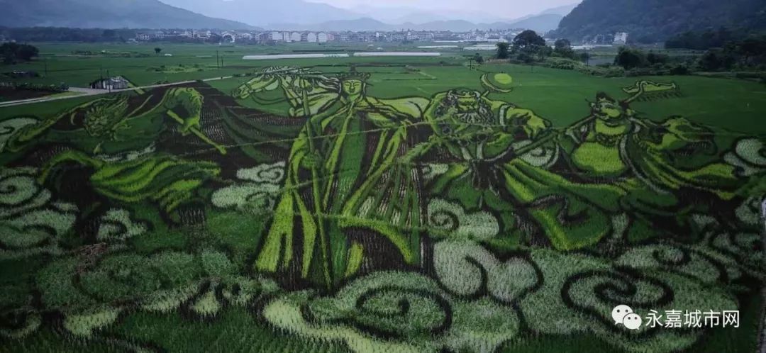 何时开放?据苍坡古村的村主任李纯明介绍:稻田画目前还没有正式开放.