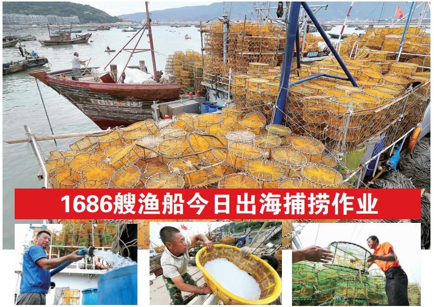 大批肥美海鲜要上市了!