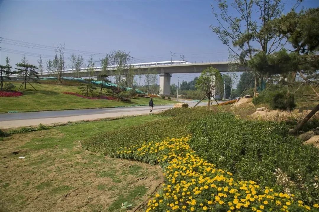 高速互通立交及出入口区域绿化工作方案》和《省会铁路沿线生态廊道