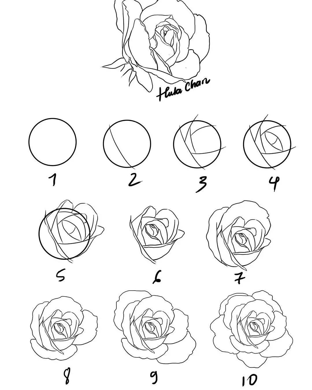 玫瑰花的画法20步简单图片