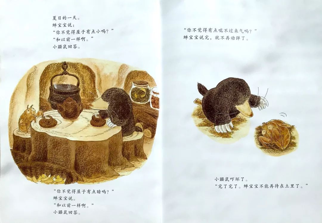 《小鼹鼠和蝉宝宝》