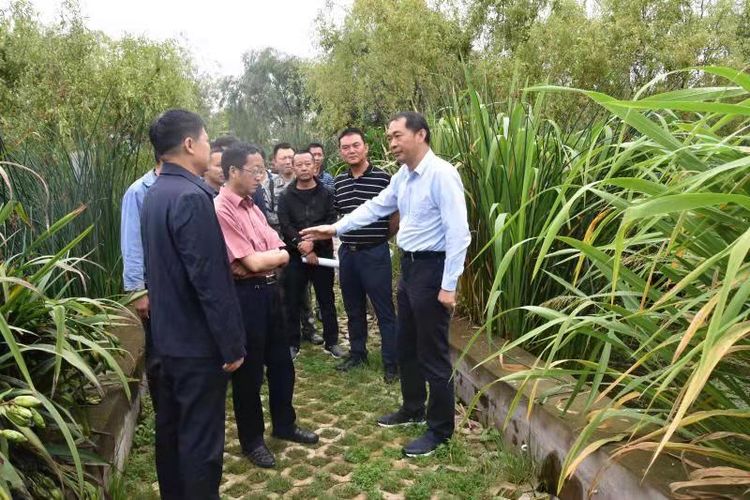 禄劝县委书记焦林调研云龙水库水源区保护治理重点项目推进情况