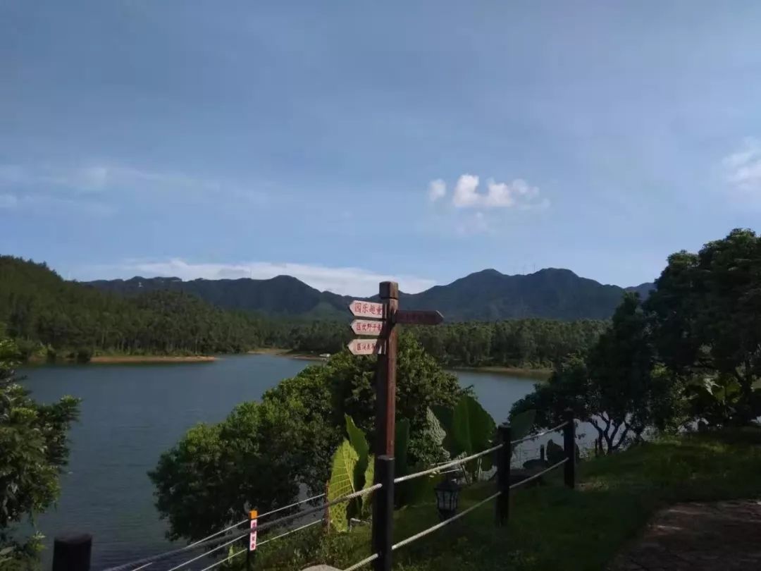 江门台山寻皇千岛湖图片