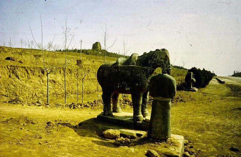 帝陵视野八十年代的唐陵