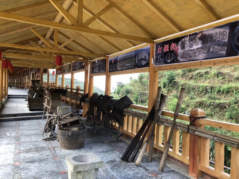 园内有可同时容纳300人用餐的餐厅,住宿,农耕文化长廊,文体活动场