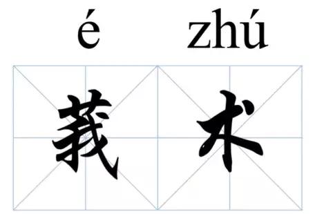 中药莪术知多少