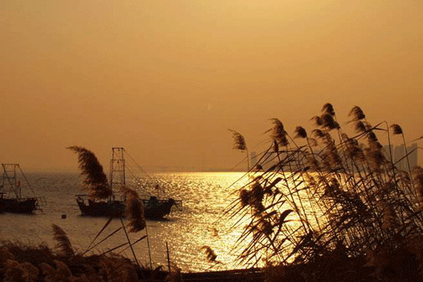 江潮观赏佳期~道尽了钱塘江潮的排山倒海之势李白一句"海神东过恶风回