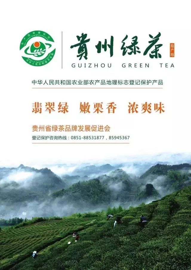 关于贵州绿茶地理标志使用人入驻国家农产品质量安全追溯管理信息平台