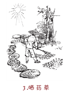 来一碗沙溪凉茶_广东省