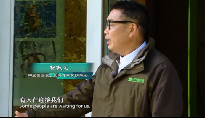 (金丝猴研究"高手"——杨敬元)(养蜂"高手"——朱诗军)(动植物研究"